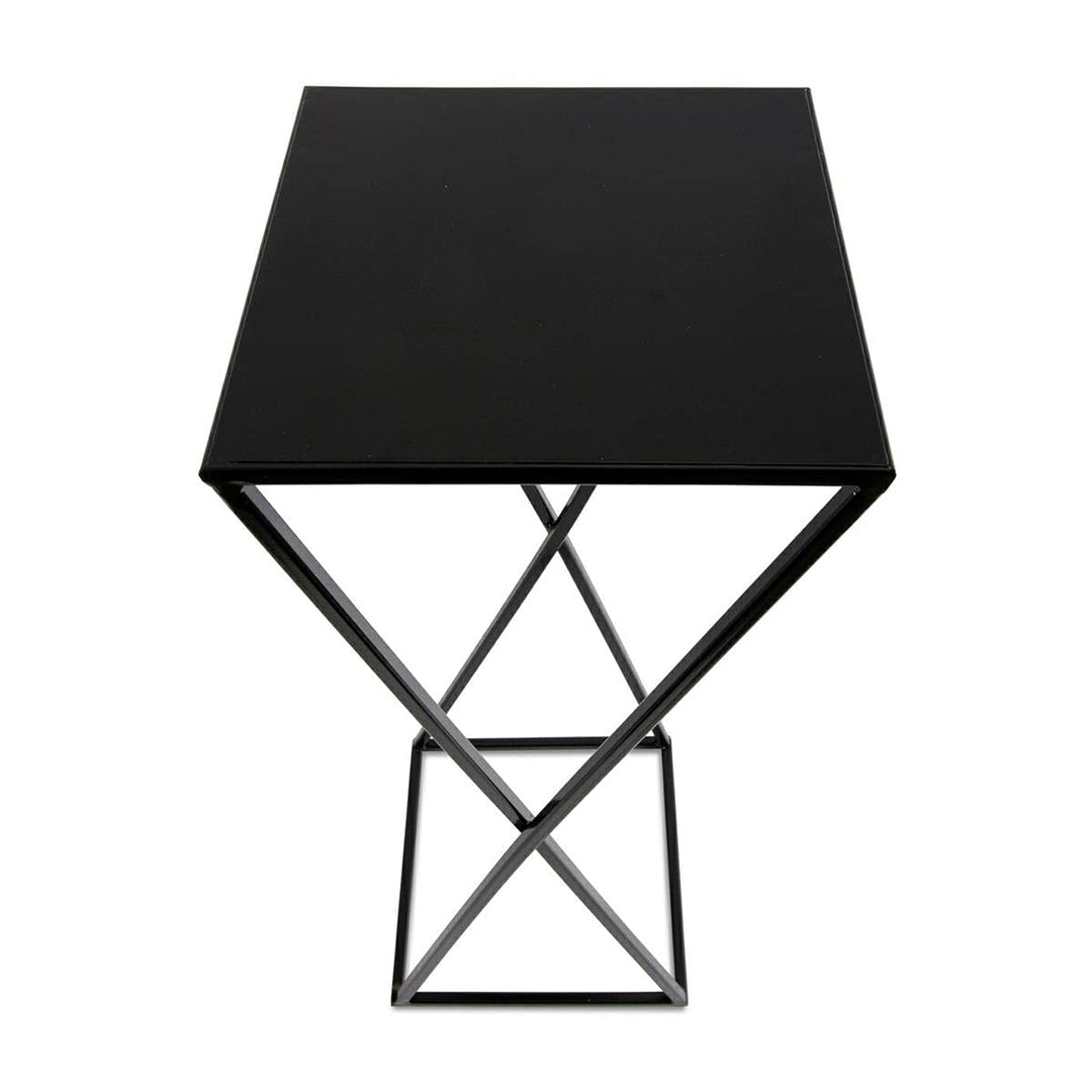 HowHomely Blumenständer Metall Schwarz 70 cm Hoch - Solider und Robuster Blumenhocker Metall - Pflan