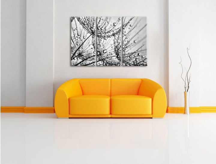Pixxprint Pusteblumen Tau als Leinwandbild/Grösse: 3 Teilig (120x80) cm/Wandbild/Kunstdruck/fertig b
