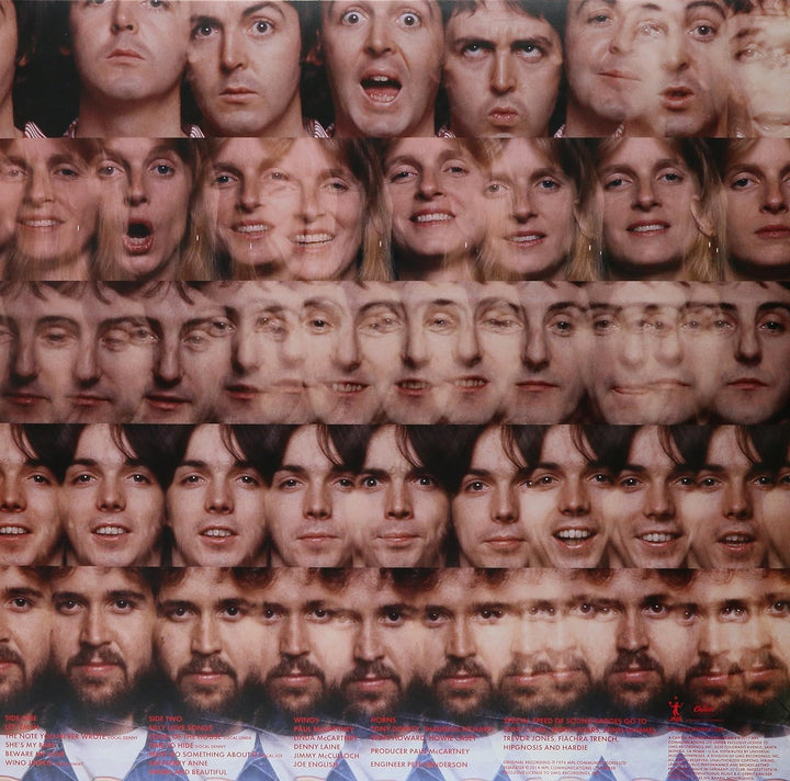 At The Speed Of Sound, Vinyl