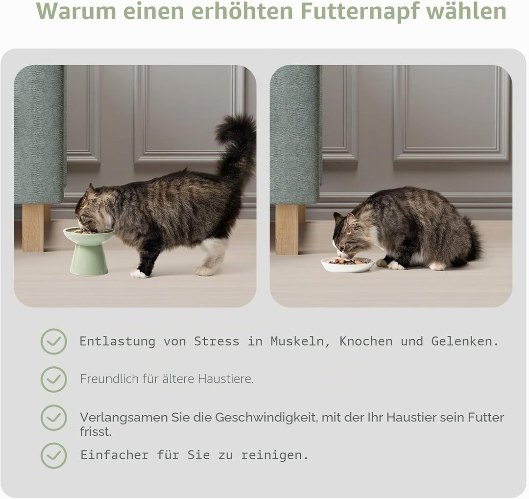 CEEFU 2 extra breiter erhöhter Katzenfutternapf, Keramik-Katzennäpfe für Futter und Wasser, breite f