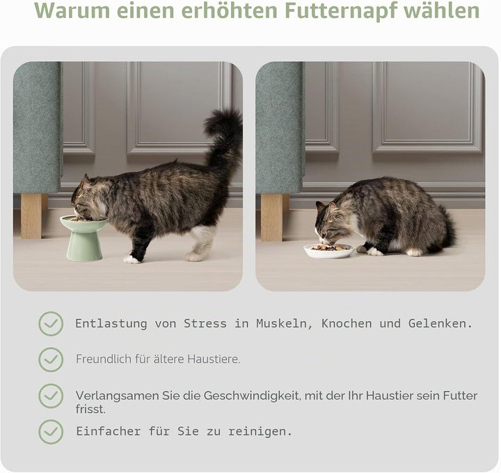 CEEFU 2 extra breiter erhöhter Katzenfutternapf, Keramik-Katzennäpfe für Futter und Wasser, breite f