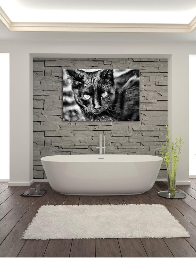 Monocrome, schwarze Katze, Format: 100x70 auf Leinwand, XXL riesige Bilder fertig gerahmt mit Keilra