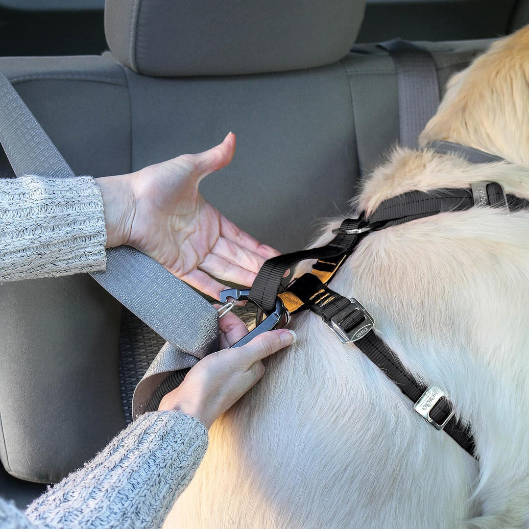 Kurgo Tru-Fit Hundegeschirr, Crash-Test-erprobtes Auto-Sicherheitsgurt, Für Hunde von 11 bis 23 kg,