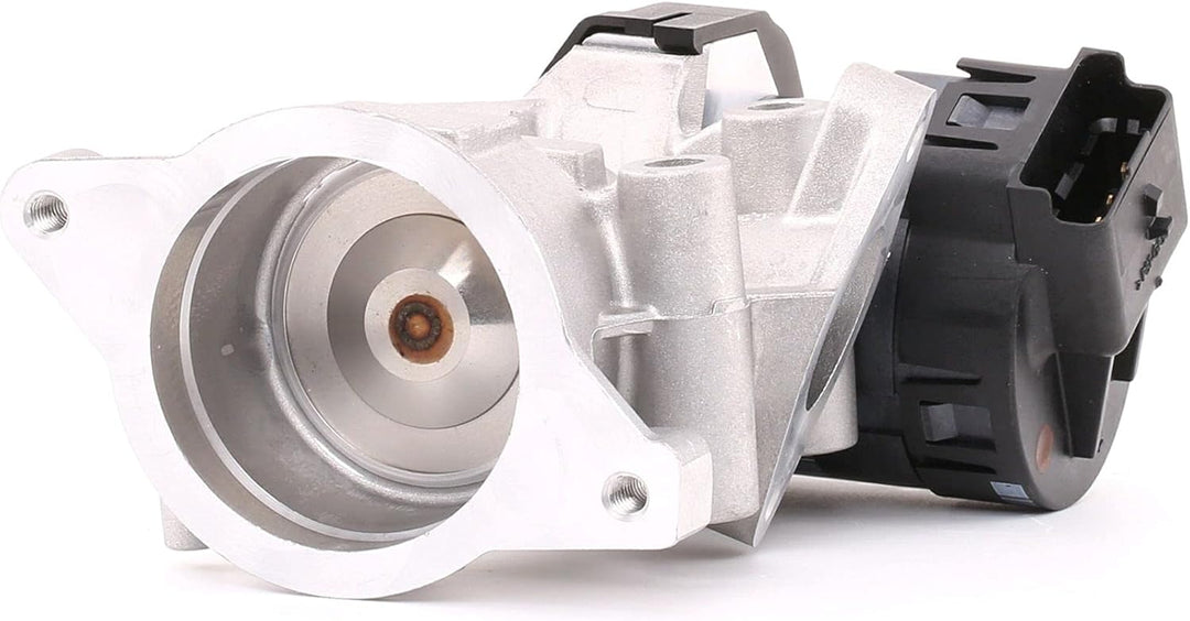 Delphi EG10395-12B1 Agr-Ventil