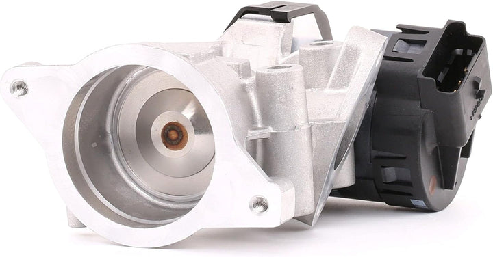 Delphi EG10395-12B1 Agr-Ventil