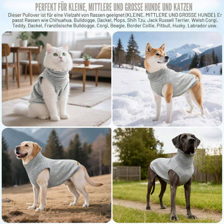 Mosucoirl Sweater für Hunde Pullover Hundebekleidung Schildkröten Hunde Sweatshirt Dicke Warme Hunde