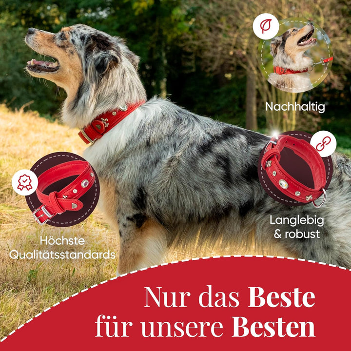MICHUR Julieta Hundehalsband Leder, Lederhalsband Hund, Halsband, Rot, Leder, mit Lilien,Strassstein