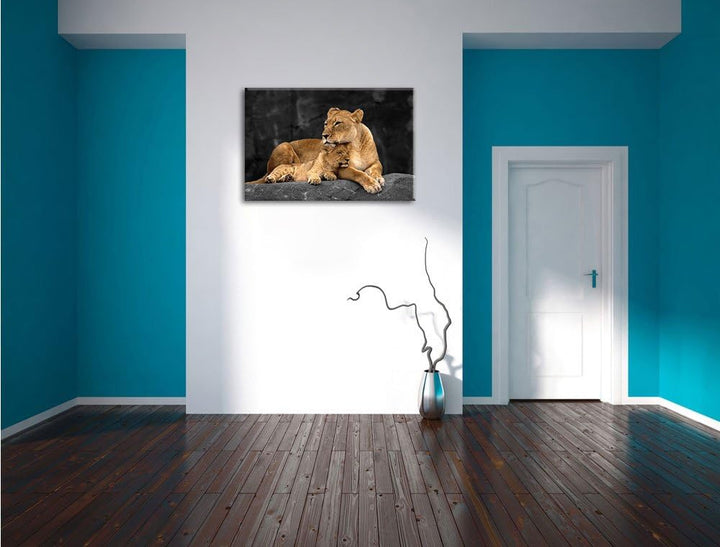 Pixxprint Löwe Löwenjungen als Leinwandbild/Grösse: 120x80 cm/Wandbild/Kunstdruck/fertig bespannt, 1