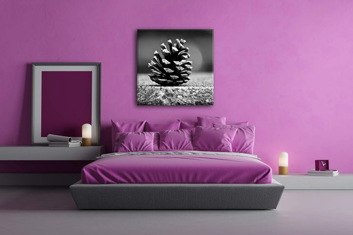 deyoli kleine Tannenzapfen im Format: 60x60 Effekt: Schwarz&Weiss als Leinwandbild, Motiv auf Echtho