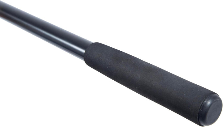 Catfish Welsrute 3.00m (-200g) - Wallerrute