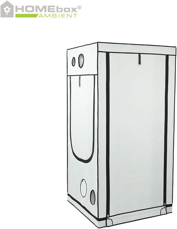 Homebox Ambient Q100