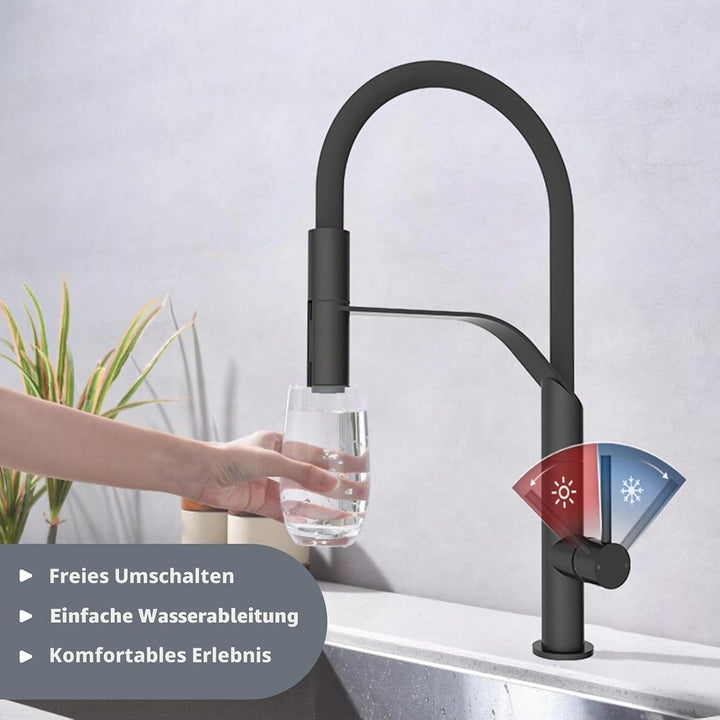 Wasserhahn Küche, Hochdruck Küchenarmatur mit Herausziehbarer Brause, Einhebel Spültischarmatur Küch