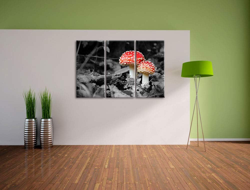 zwei kleine Fliegenpilze im Wald schwarz/weiss 3-Teiler Leinwandbild 120x80 Bild auf Leinwand, XXL r
