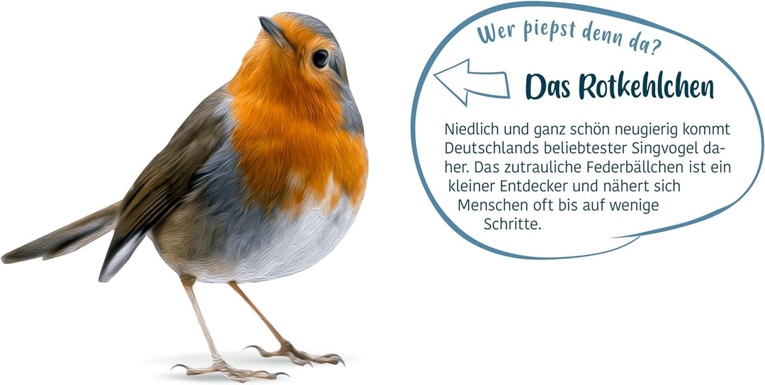 Elles Fettfutter 20kg I Energiespender mit 100% natürlichen Zutaten | Ganzjähriges Wildvogelfutter f