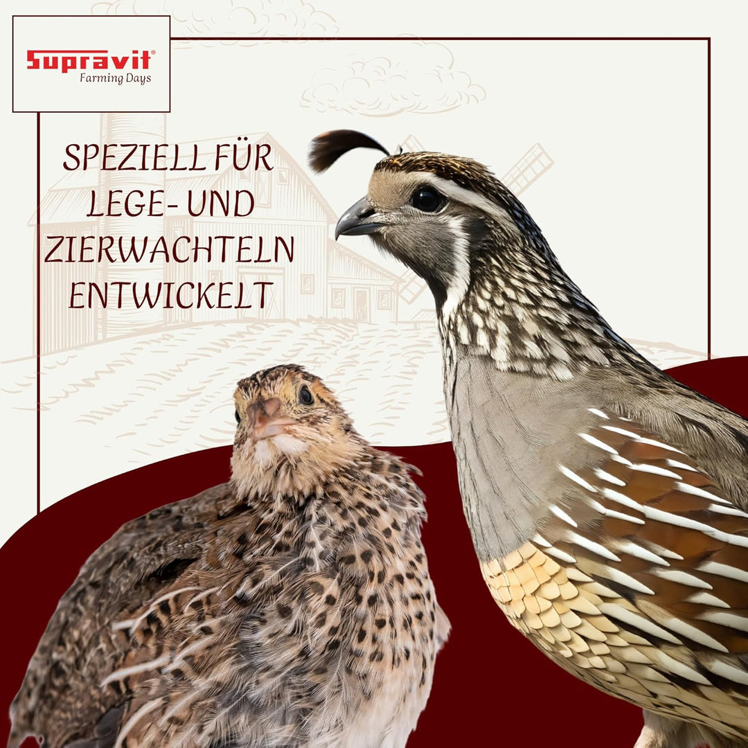 SUPRAVIT Wachtelfutter 25kg | Vollwertige Körnermischung für Wachteln, Legewachteln und Hühner als A