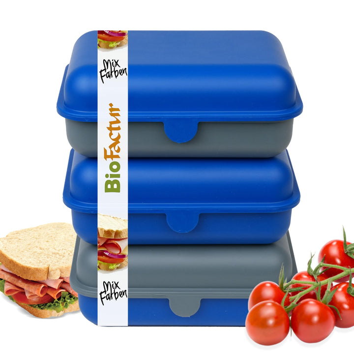 BioFactur Brotdose Erwachsene,Kinder | 3er Jausenbox Kinder | BPA Frei Vesperbox | Butterbrotdose Sp
