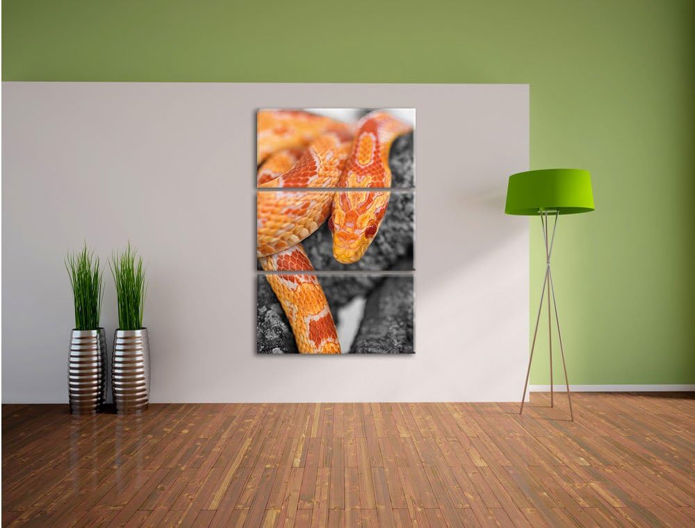 Pixxprint ruhende Kornnatter auf Baum als Leinwandbild/Grösse: 3 Teilig (120x80) cm/Wandbild/Kunstdr
