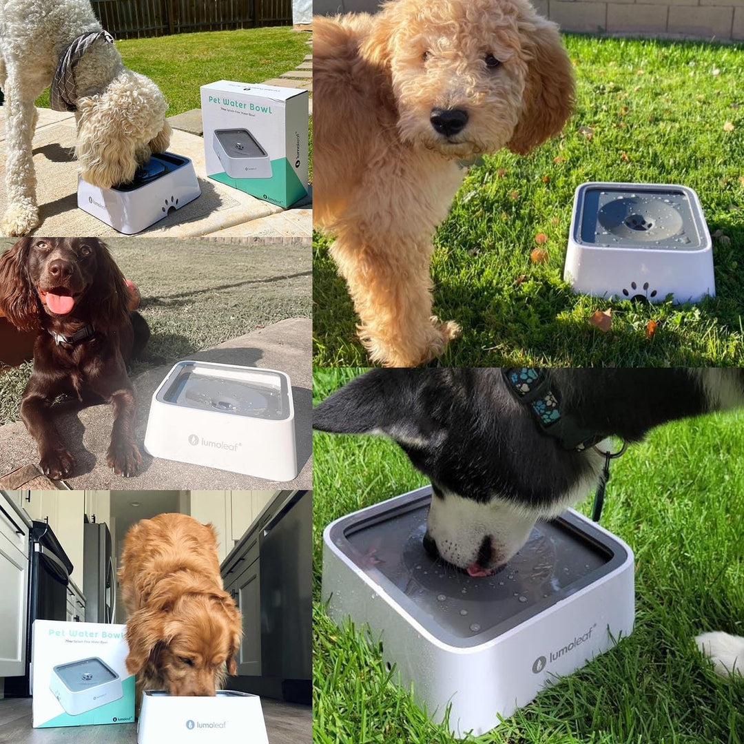 LumoLeaf Wassernapf für Hunde, 2L, Anti-Schwapp Fressnapf Hund Unterwegs mit Kohlefilter, Hundenapf