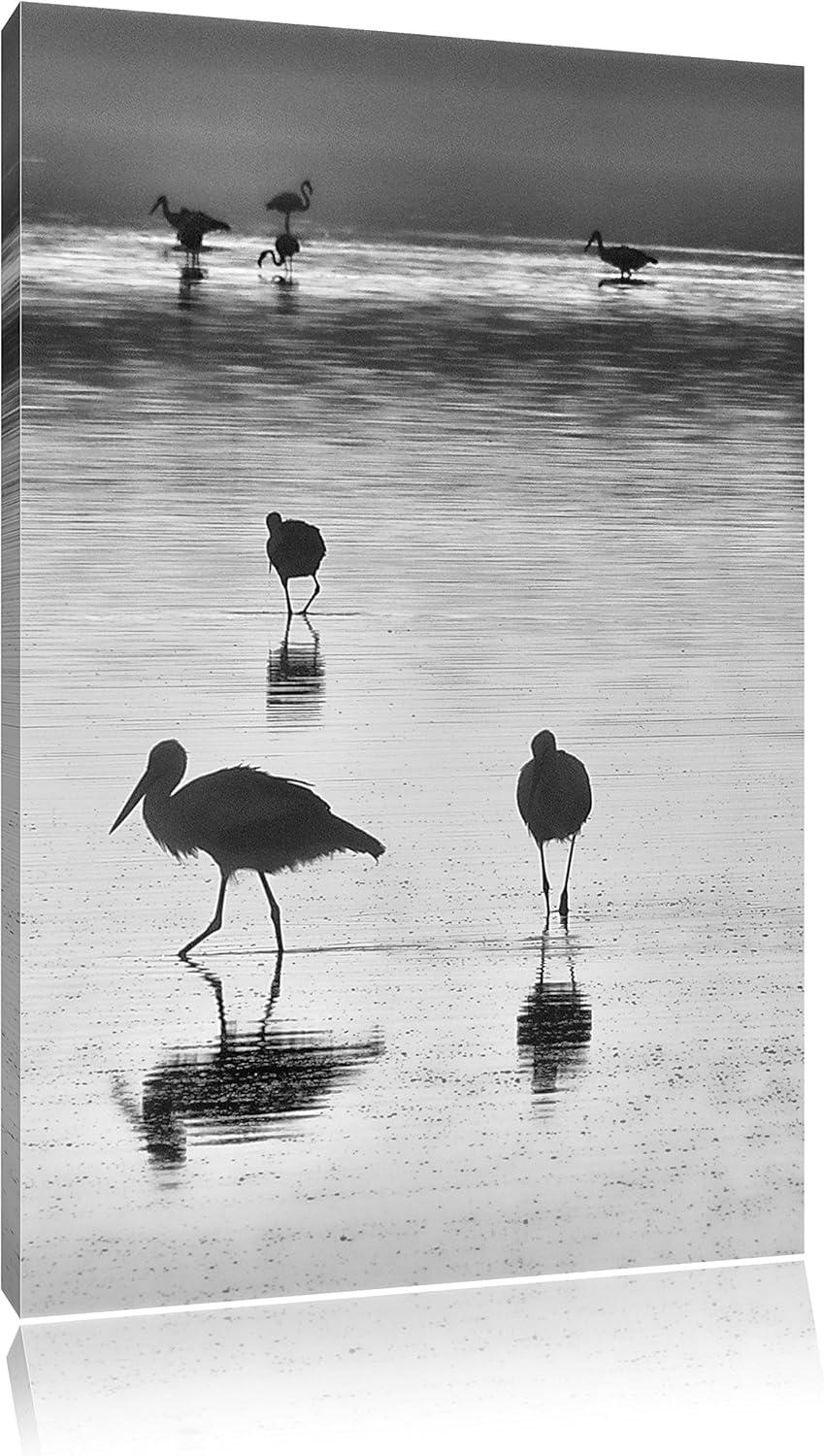 Pixxprint Störche im Wasser als Leinwandbild | Grösse: 100x70 cm | Wandbild | Kunstdruck | fertig be