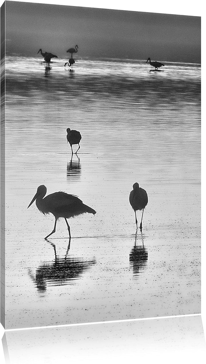Pixxprint Störche im Wasser als Leinwandbild | Grösse: 100x70 cm | Wandbild | Kunstdruck | fertig be