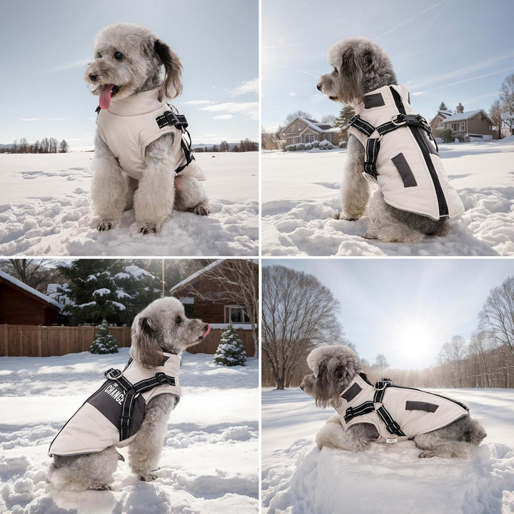 Hundemantel Winter Hundejacke Hundegeschirr Mantel Welpenmantel Jacke Weste Kleidung Kleines Hundege