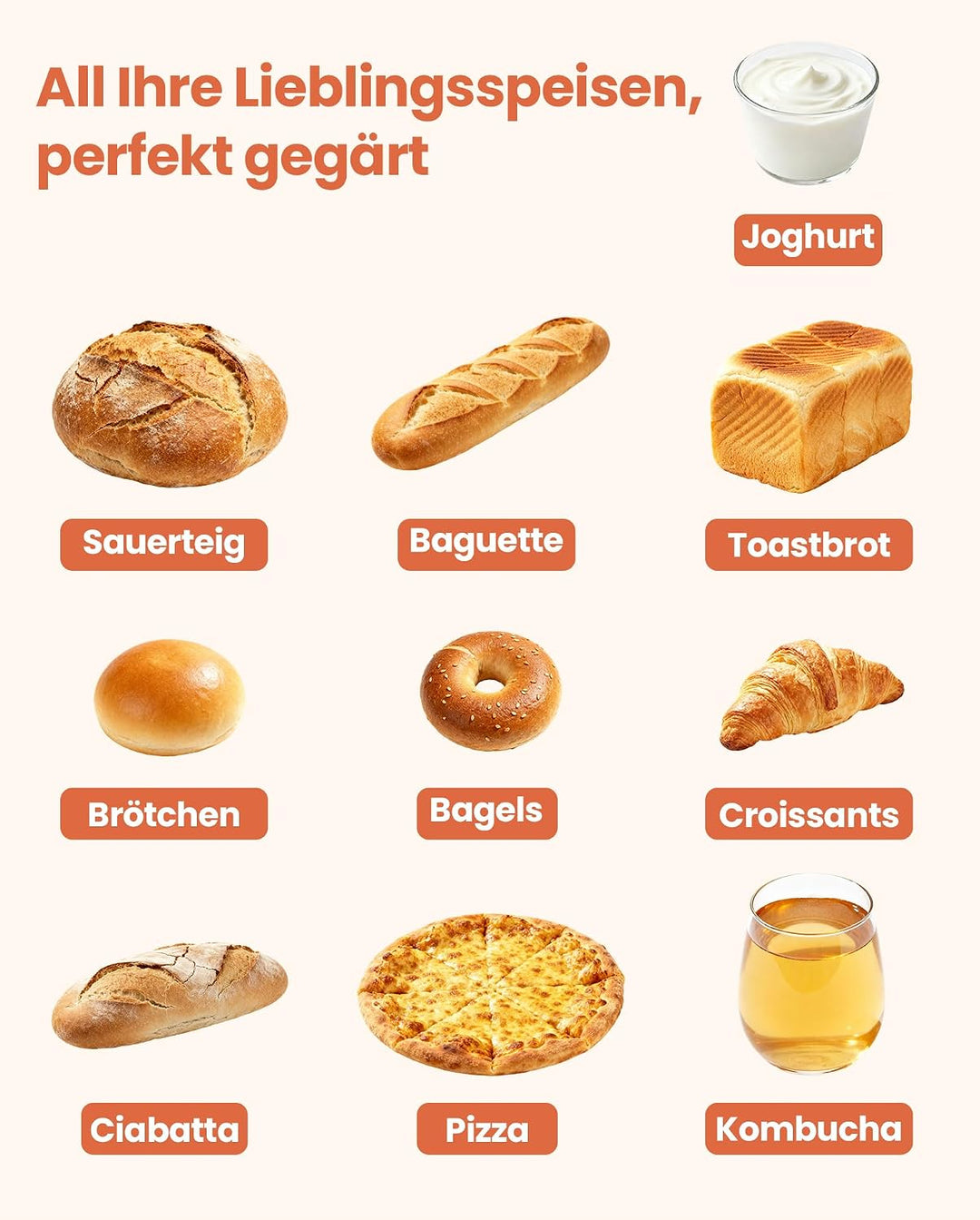 Faltbare Brot-Gärbox mit Temperaturregelung von 20–55 °C und 0–99 h Timer, Teiggärgerät mit Metallgi