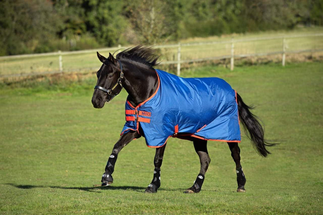 Horseware Amigo Mio Turnout medium black turquoise Weidedecke Winterdecke schwaz-türkis 5'6, schwaz-