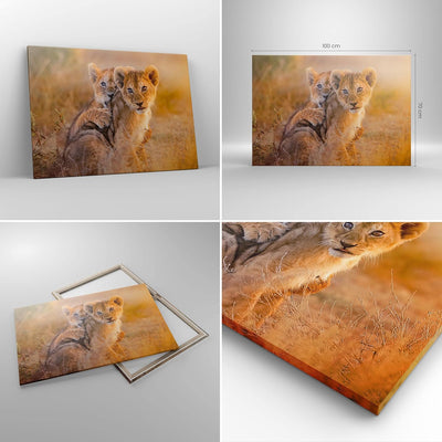 Bilder auf Leinwand 100x70cm Leinwandbild mit Rahmen Löwe Natur Tier Gross Wanddeko Bild Schlafzimme