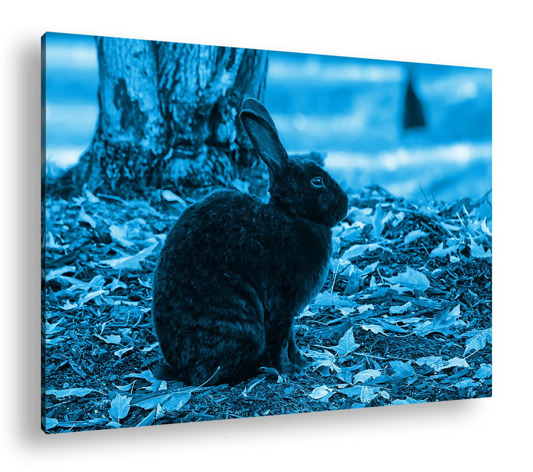deyoli edler Schwarzer Hase Format: 80x60 Effekt: Monocrome Blau als Leinwand, Motiv fertig gerahmt