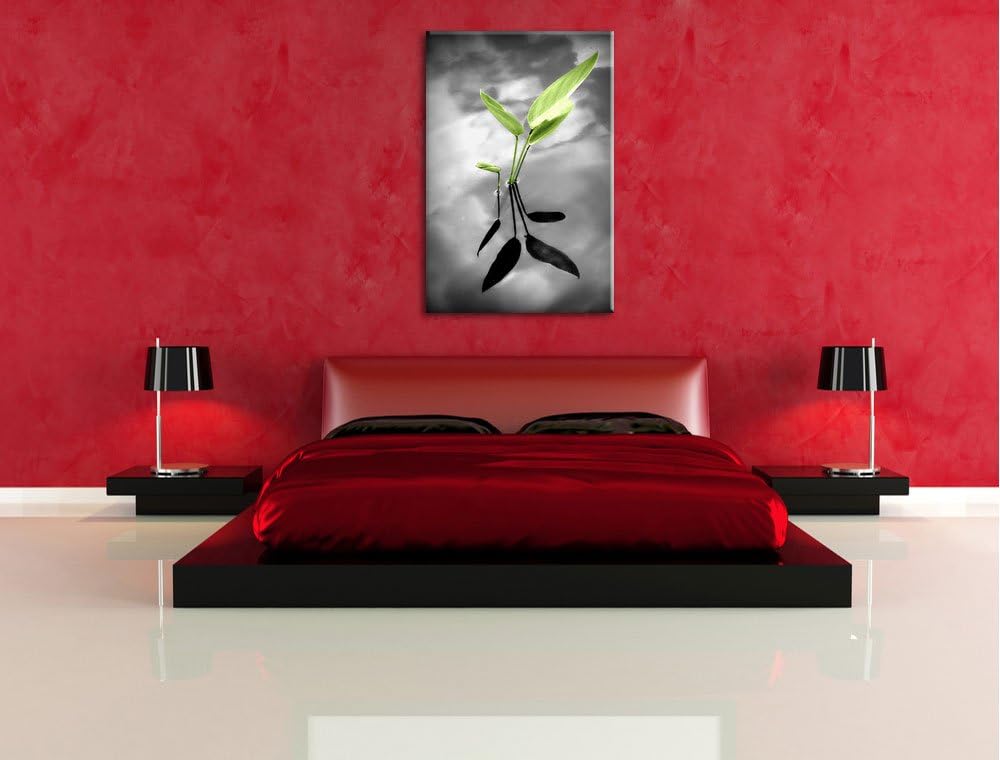 Pixxprint grüne Blätter im Wasser auf Leinwand, XXL riesige Bilder fertig gerahmt mit Keilrahmen, Ku