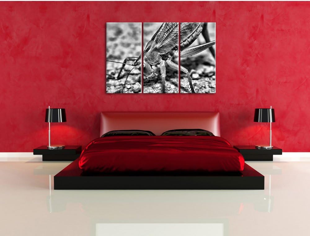 Pixxprint schöne Heuschrecke als Leinwandbild/Grösse: 3 Teilig (120x80) cm/Wandbild/Kunstdruck/ferti