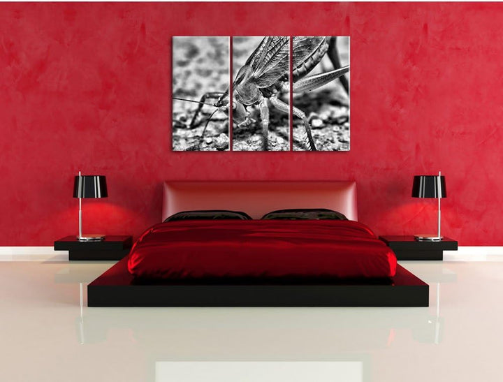 Pixxprint schöne Heuschrecke als Leinwandbild/Grösse: 3 Teilig (120x80) cm/Wandbild/Kunstdruck/ferti