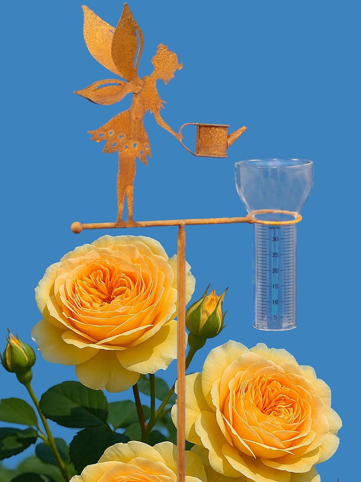 Pommerntraum ® | Regenmesser Niederschlagsmesser Pluviometer Edelrost Wetterstation Gartendeko Garte
