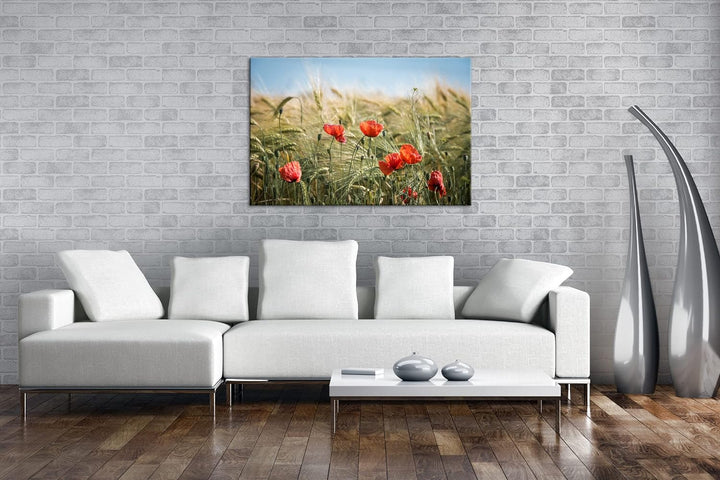 deyoli zarte Mohnblumen im Getreidefeld Format: 60x40 als Leinwand, Motiv fertig gerahmt auf Echthol