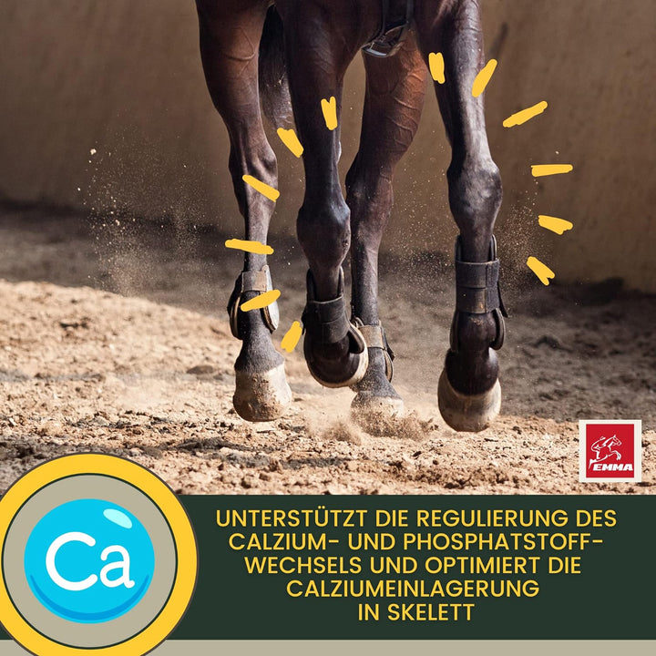 MSM Pulver I Gelenk Pulver für Pferde plus MSM Pferd - Knochen-Gelenk-Komplex mit Calcium Vitamin D