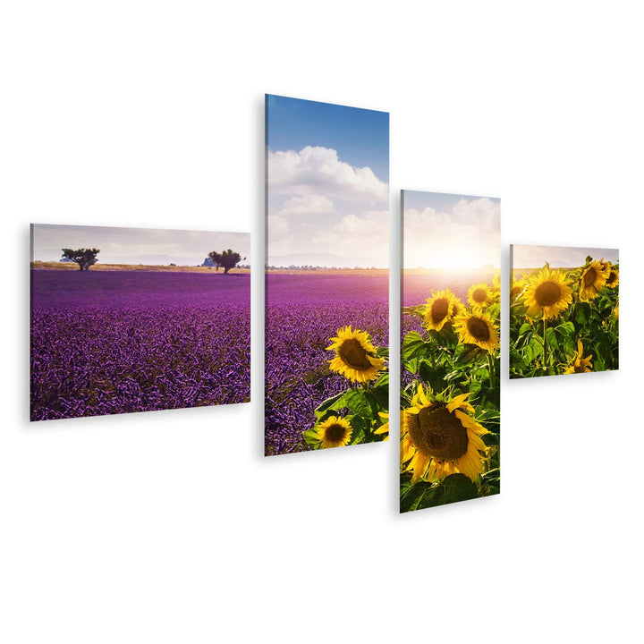 islandburner Bild auf Leinwand Lavendel Sonnenblumen Felder Provence Bilder Wandbilder Poster Leinwa