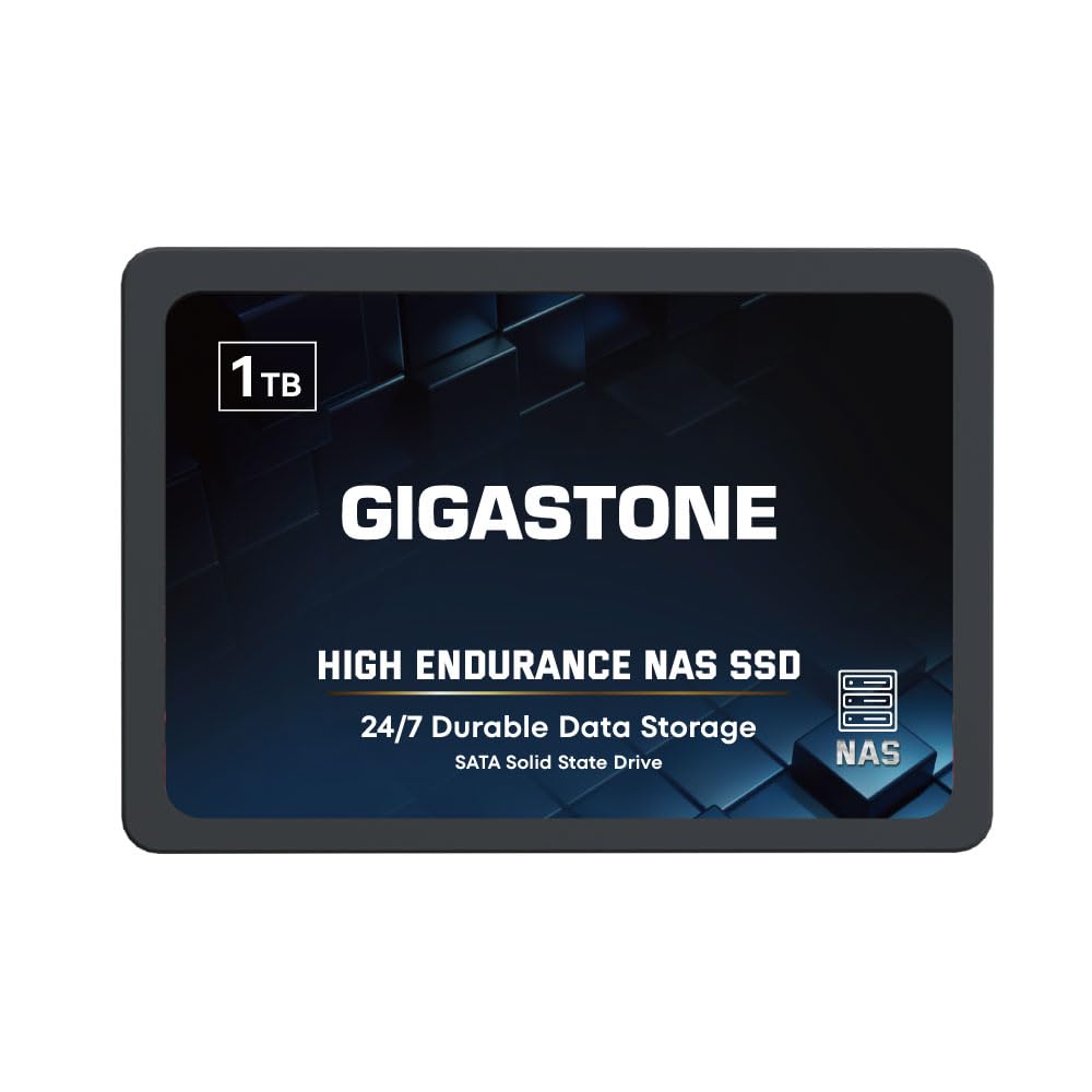 Gigastone NAS SSD 1TB Enterprise SSD Festplatte TLC Hohe Dauerhaltbarkeit Server SSD für 24/7 Dauerb