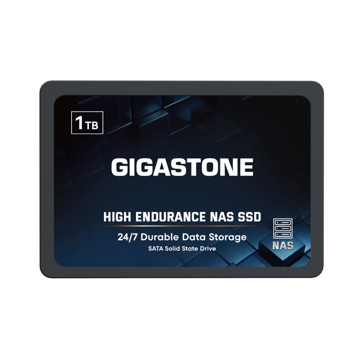 Gigastone NAS SSD 1TB Enterprise SSD Festplatte TLC Hohe Dauerhaltbarkeit Server SSD für 24/7 Dauerb