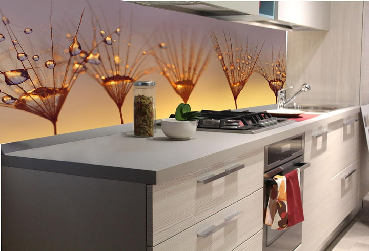 DIMEX Küchenrückwand Folie Selbstklebend Tropfen AUF LÖWENZAHN 180 x 60 cm | Klebefolie - Dekofolie