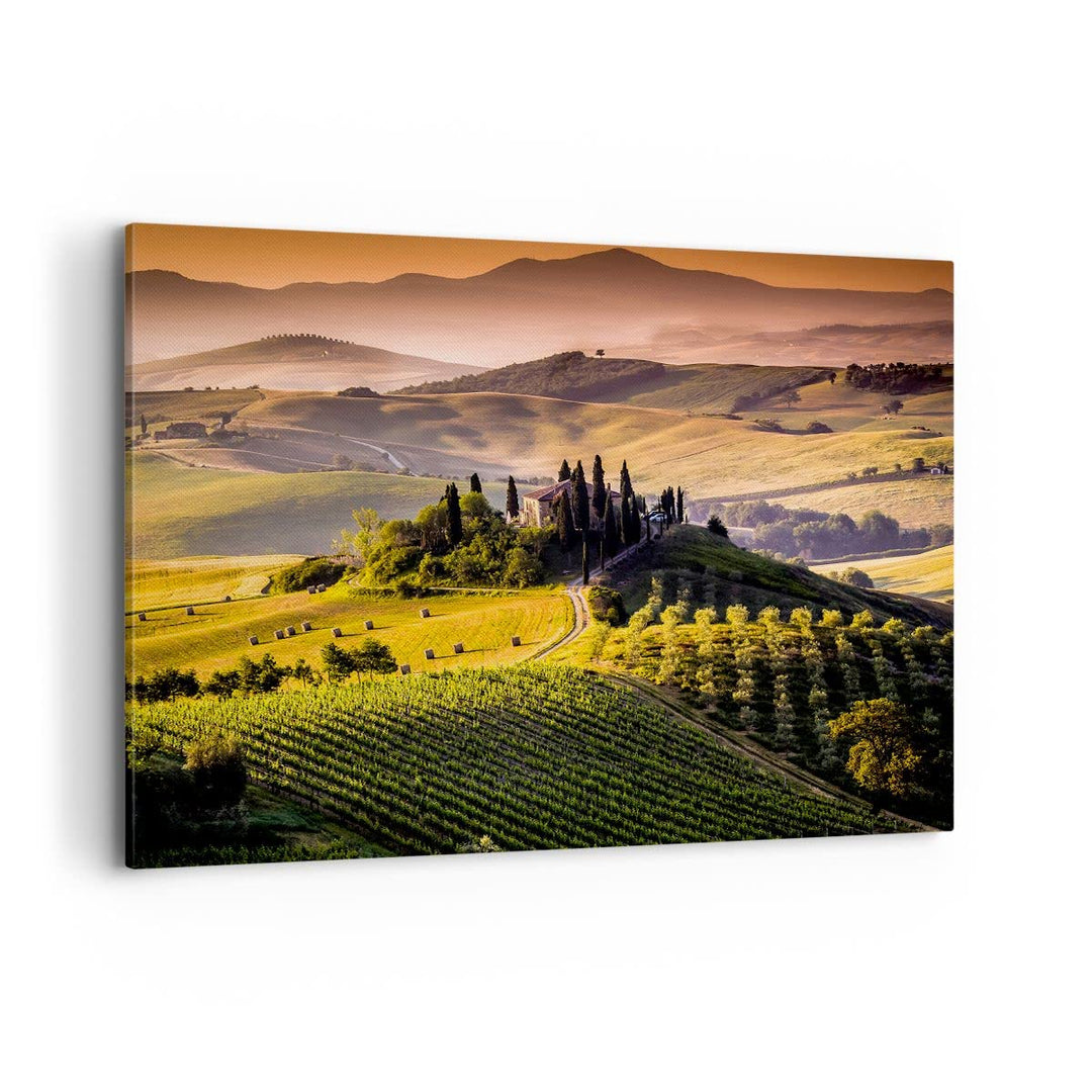 Bilder auf Leinwand 100x70cm Leinwandbild Landwirtschaft Bauernhof Toskana Weinberg Gross Wanddeko B