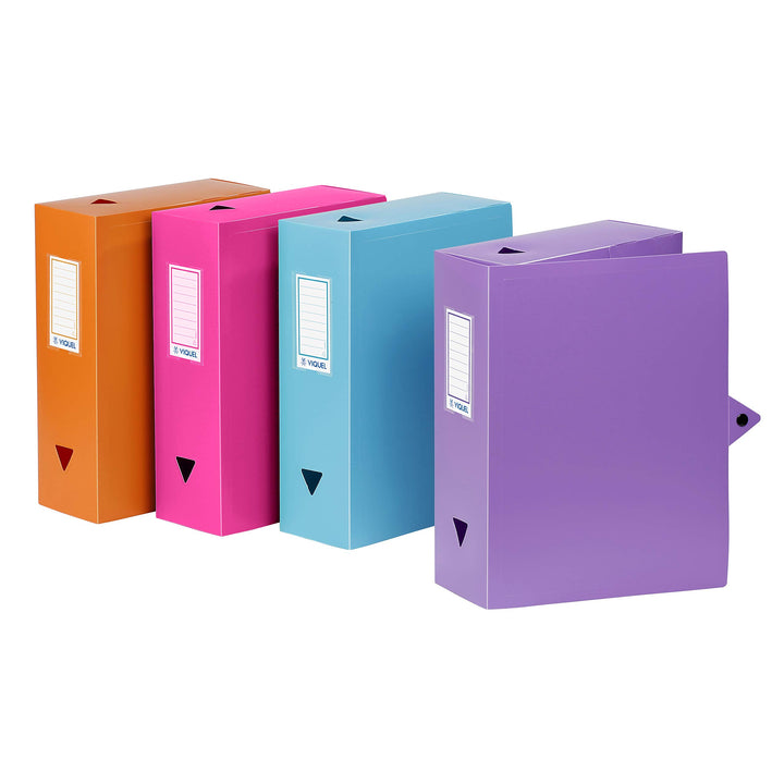 Viquel 097716 – 49 Class Docs Vorratsdosen 4-DE Ranking Polypropylen-Rücken 100 mm Farben sortiert