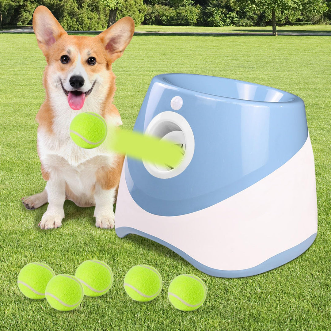 Automatischer Ballwerfer, Ballwurfmaschine Hund mit 6 Pcs 2" Tennisbällen, Kann 10-30ft werfen, Inte