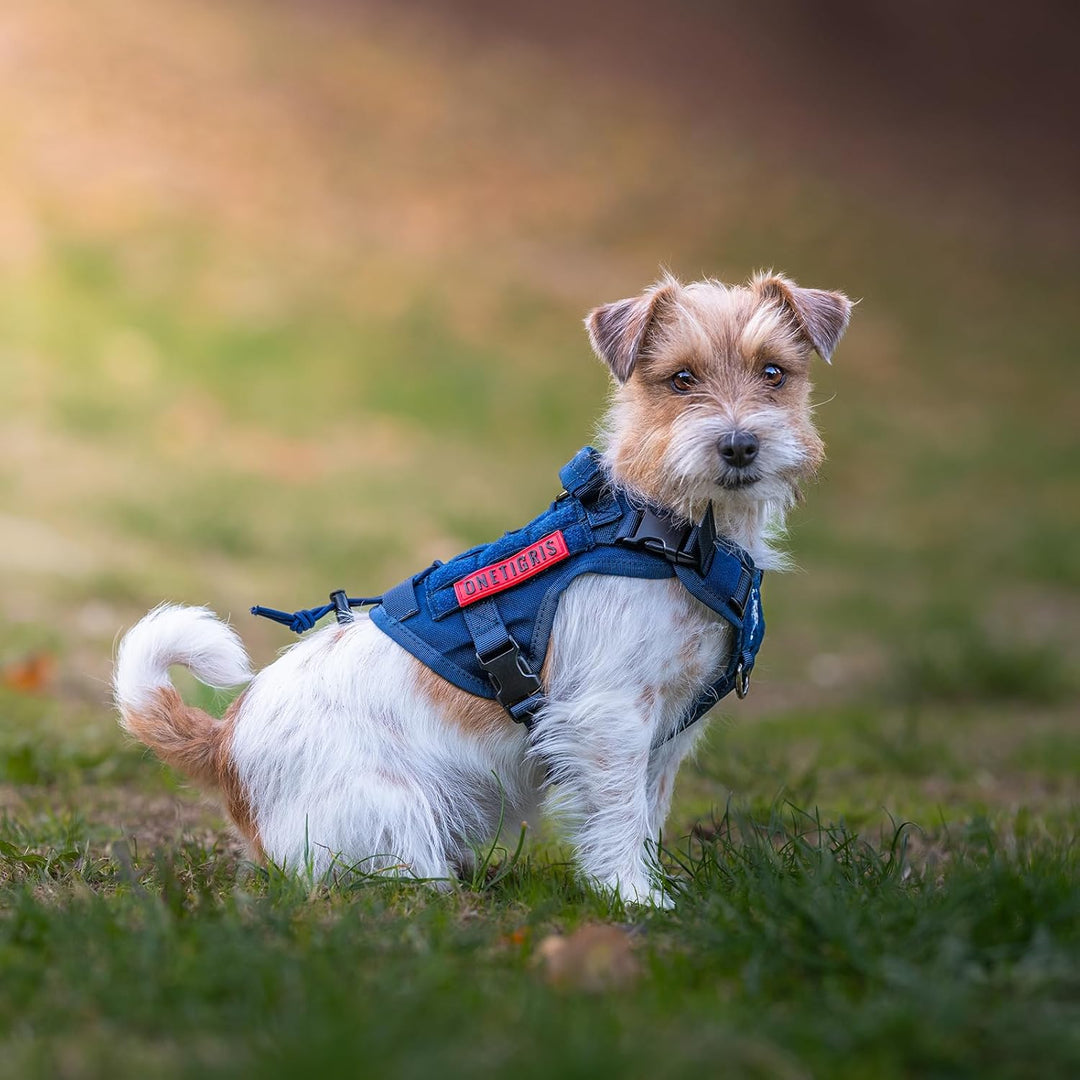 OneTigris Hundegeschirr, FIRE WATCHER Taktische Geschirr Sicherheitsgeschirr Hunde Hundeweste mit 1