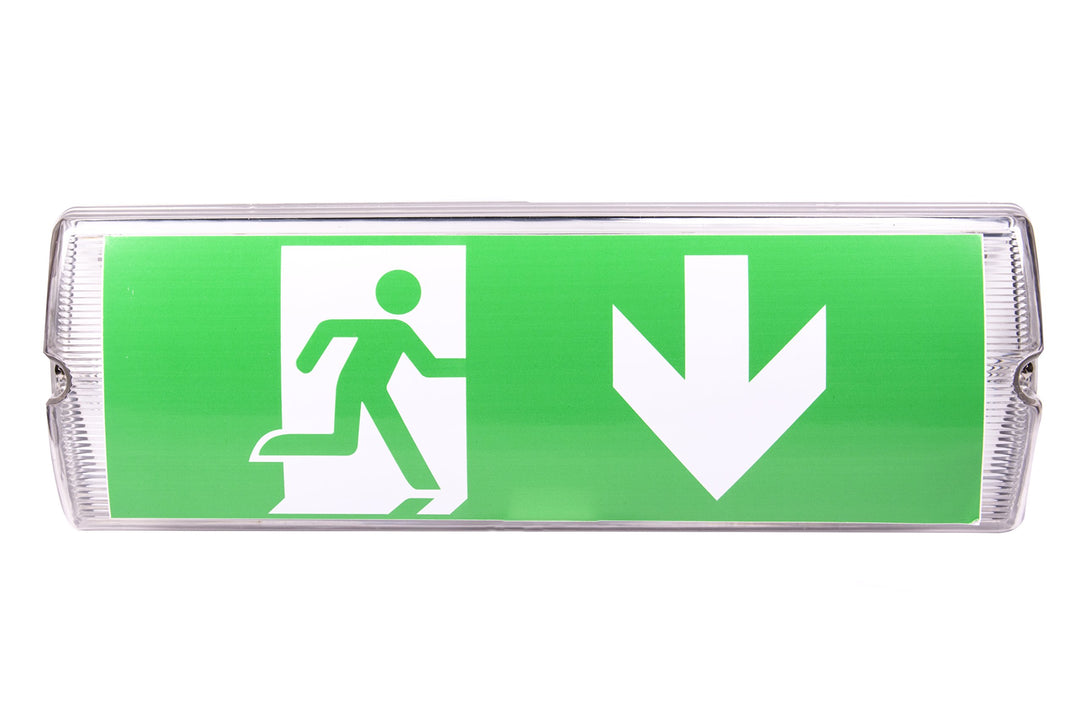 IP 65 LED Dauerlicht Notleuchte Notbeleuchtung Notausgang Fluchtwegleuchte Notlicht Fluchtweg EXIT (