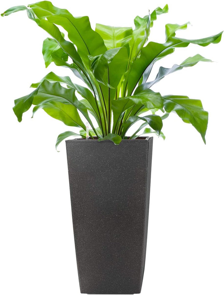 Pflanzwerk® ÖKOSYSTEM Pflanzkübel Square - Blumentöpfe Übertöpfe mit BEWÄSSERUNGSSYSTEM - 19x10x10cm