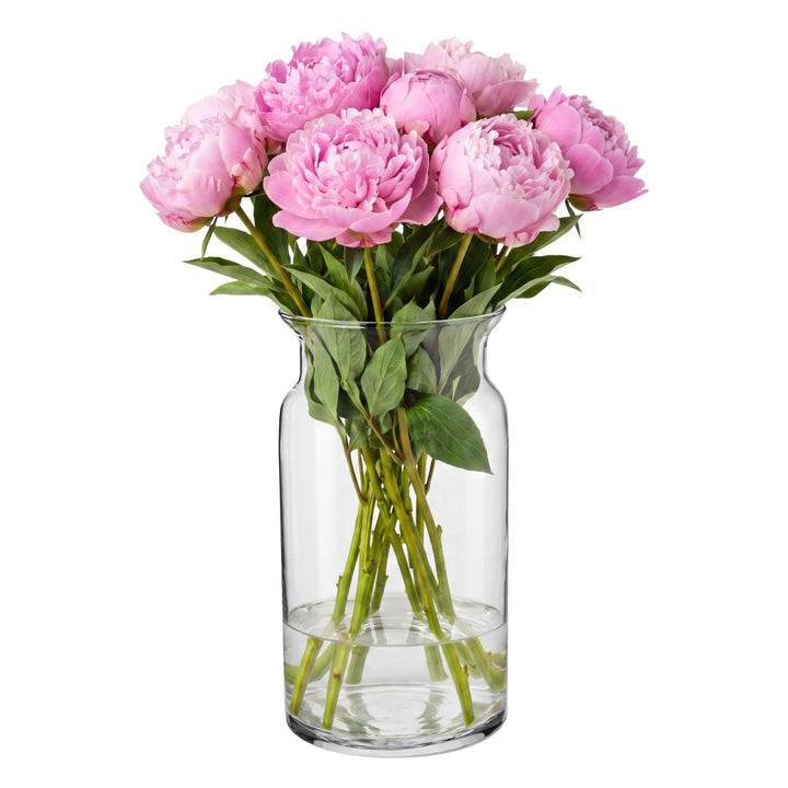 TREND FOR HOME Grosse Glasvase Hoch 29.5 cm Blumenvase Gross Bodenvase Glas Grosse Vase Amaryllis Va