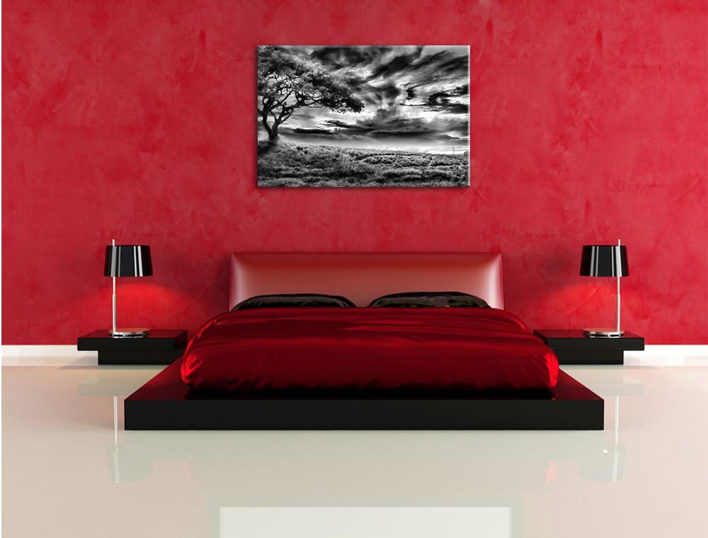 Pixxprint Einsamer Baum schwarz weiss als Leinwandbild/Grösse: 100x70 / Wandbild/Kunstdruck/fertig b