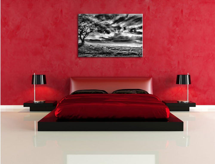 Pixxprint Einsamer Baum schwarz weiss als Leinwandbild/Grösse: 100x70 / Wandbild/Kunstdruck/fertig b