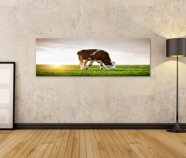 islandburner Bild auf Leinwand Grasende Kuh Auf Grüner Weide Bei Sonnenuntergang Bilder Wandbilder P