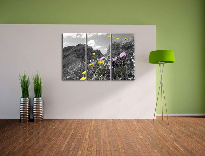 Traumhafte Blumenwiese im Frühling schwarz/weiss 3-Teiler Leinwandbild 120x80 Bild auf Leinwand, XXL